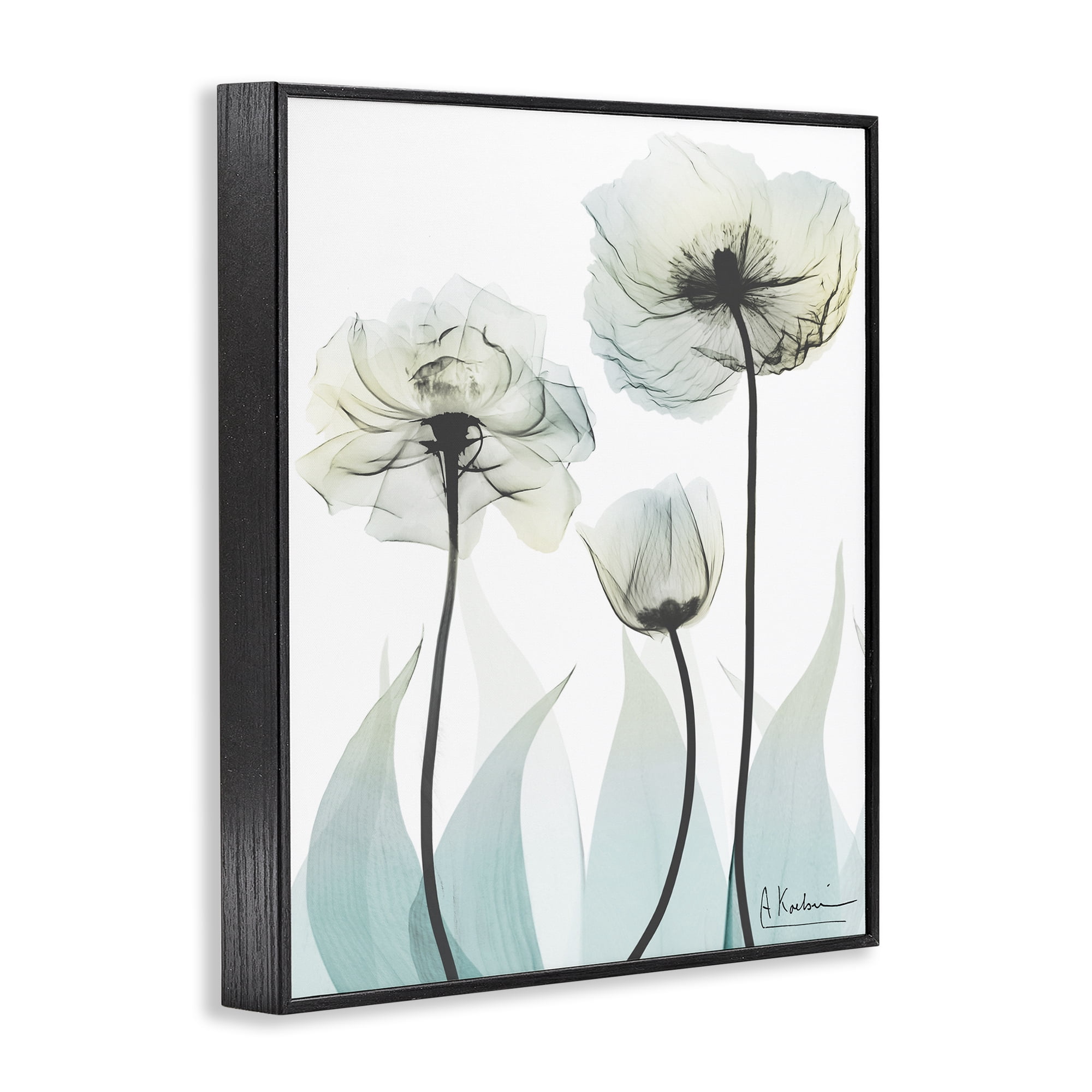 Stupell Industries Luxury Of Creation Black Framed Giclee Art, design by Albert Koetsier