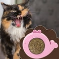 Tough Dog Squeaky Long Lasting Dog Chew Cat Toy For Cats Self Cat Wall tough-dog-squeaky-long-lasting-dog-chew-cat-toy-for-cats-self-cat-wall