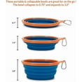 thumbnail image 2 of AnimalPlanet Collapsible Bowl-Large ( 2 Pack) 1 each Teal / Navy, 2 of 9