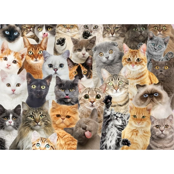 All the Cats 500 Piece Jigsaw Puzzle (Other)