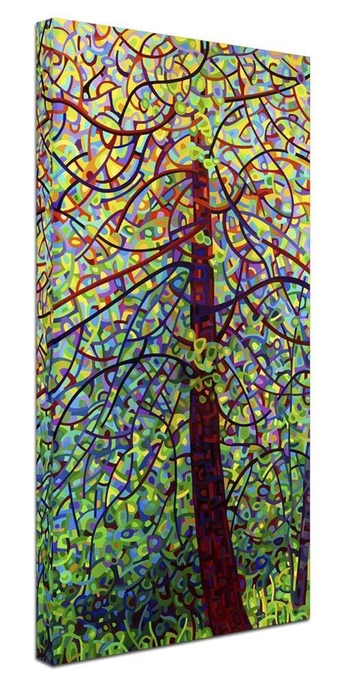 Trademark Fine Art "Kaleidoscope" Canvas Art by Mandy Budan