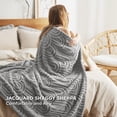 thumbnail image 3 of Manta Bedsure GentleSoft gris claro 130 x 150 cm, 3 of 7