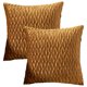 thumbnail image 1 of Juego de 2 fundas de almohada decorativas de terciopelo, conjunto de textura cuadrada, funda de almohada para sofá y dormitorio, 1 of 5