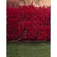 thumbnail image 1 of BSDHOME Polyester 5x7ft Roses Rouges Fleurs Toile de Fond Photographie Accessoires Studio, 1 of 2