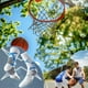 thumbnail image 3 of SGACAI Calcetines de baloncesto para patinadores, calcetines deportivos antideslizantes de calidad élite para damas y hombres, 3 of 7