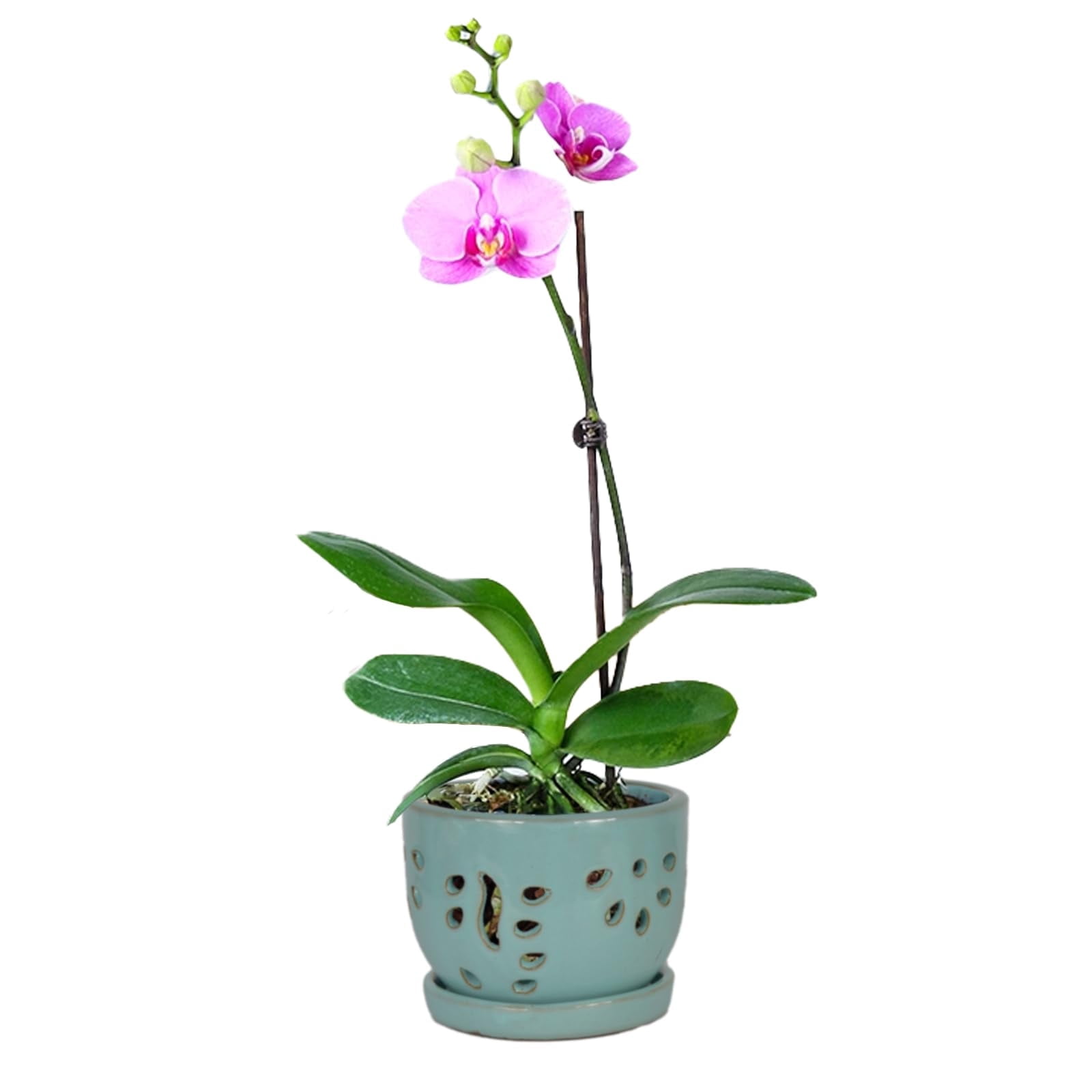 W&W Orchid Pot, Round, Blue Ceramic, 5.8 x 5.8 x 4.45 Inches, with Air Vents