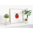 thumbnail image 3 of Spotless Lady Beetle Scientific Illustration Poster Vintage Insect Natural History Wall Art Minimalist Entomology Decor 8x12 UNFRAMED, 3 of 3