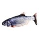 thumbnail image 1 of Juguete Gato Pescado Recargable Patada Gatilla Eléctrica (4), 1 of 7