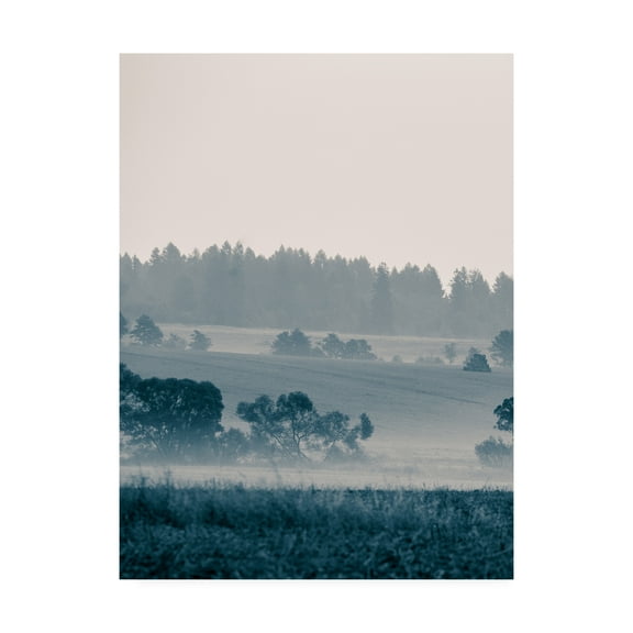 Trademark Fine Art 'Blue Mountains III' Canvas Art by PhotoINC Studio