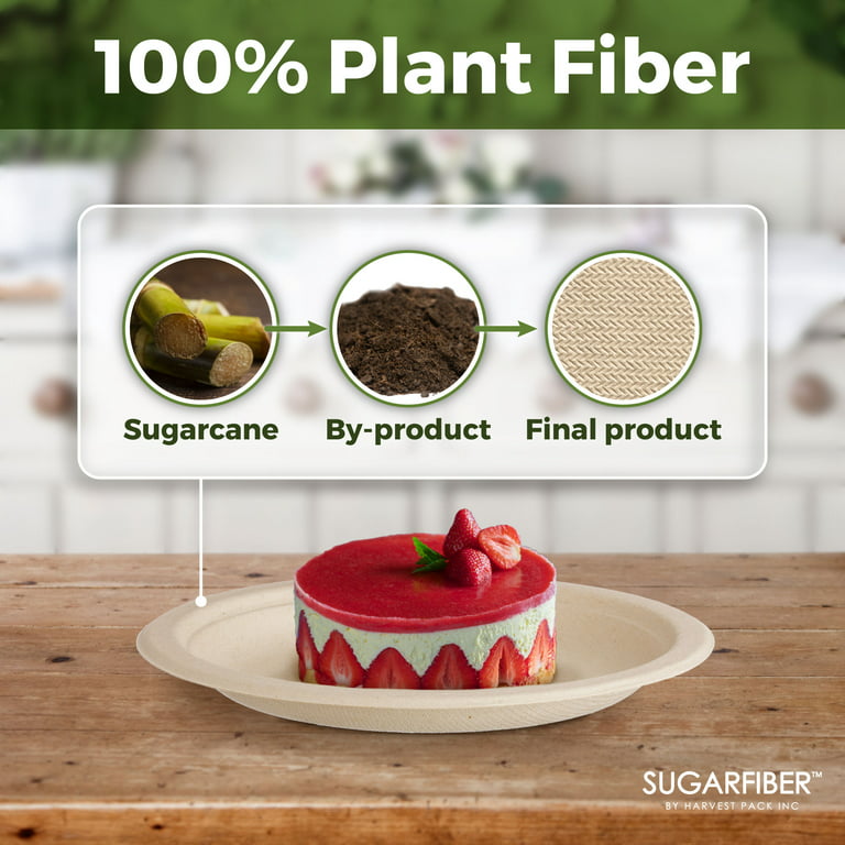 125 pcs) 7 in Round Disposable Plates - Natural Sugarcane Bagasse Bamboo  Fibers Sturdy Seven Inch Compostable Eco Friendly Environmental Paper Plate  Alternative 100% by-product Tree Plastic Free 