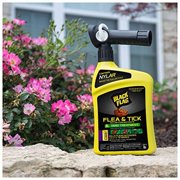 Black Flag Flea and Tick Killer Concentrate Yard Treatment 32 Ounces, Ready To Spray, QuickFlip Hose End
