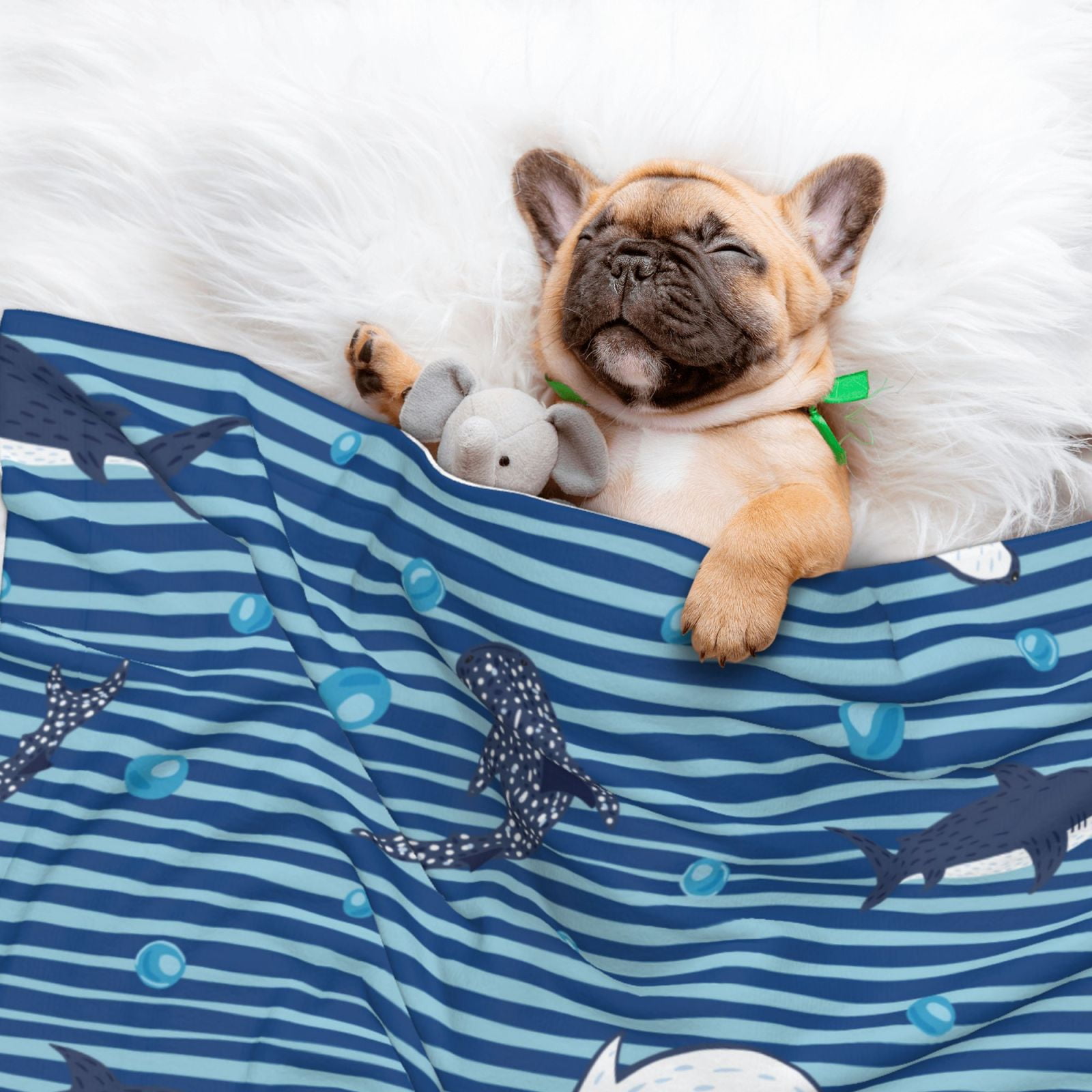 Naloa Sharks on White Blue Striped Dog Blanket, 3 Sizes Cat Blanket for Indoor Cats Large Medium Small Dog Gifts-Large