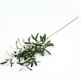 thumbnail image 2 of Yesbay 90cm Artificial Olive Branch, Cloth, 007 lb, 2 of 9
