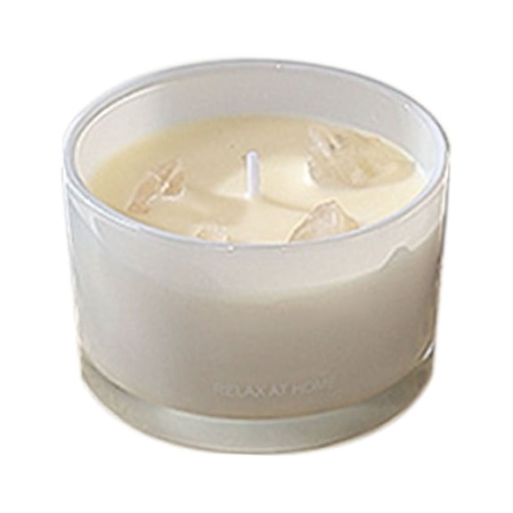 Scented Candles 9oz - Sandalwood Amber Iris & Leather Soy Wax Candles, Long Lasting Home Fragrance, Gifts for Women Men, Father's Day, Birthday & Teacher Appreciation