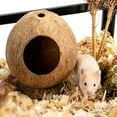 thumbnail image 3 of Coconut Shell House for Hamsters, Raw Coco Husk, Pet Hiding House, Climber or Chew Toy, for Mice, Rats, Gerbils, 3 of 8