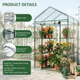 thumbnail image 5 of LIFERECORD 6 Tier Mini Greenhouse - Portable Greenhouse with PVC Cover for Indoor or Outdoor, 56" x 56" x 76" Green House for Home, Clear, 5 of 7
