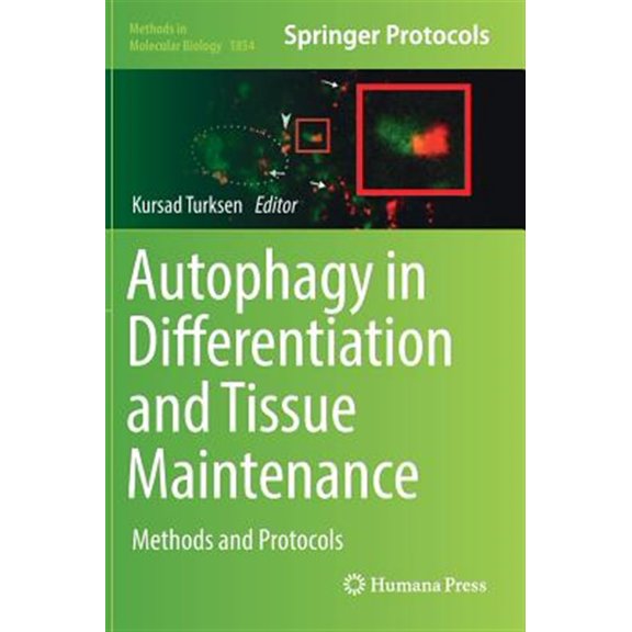 Pre-Owned Methods in Molecular Biology Autophagy in Differentiation and Tissue Maintenance: Methods and Protocols, Book 1854, (Hardcover)
