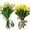 Milky white, variant on Radiant Romantic Tulip Light, Twinkling LED Tulip Lamp with Adjustable Stems, Flower Shaped Night Light for Bedroom, Bedside Decor & Gift, Warm Ambient Glow (Milky White,Ten Flowers)