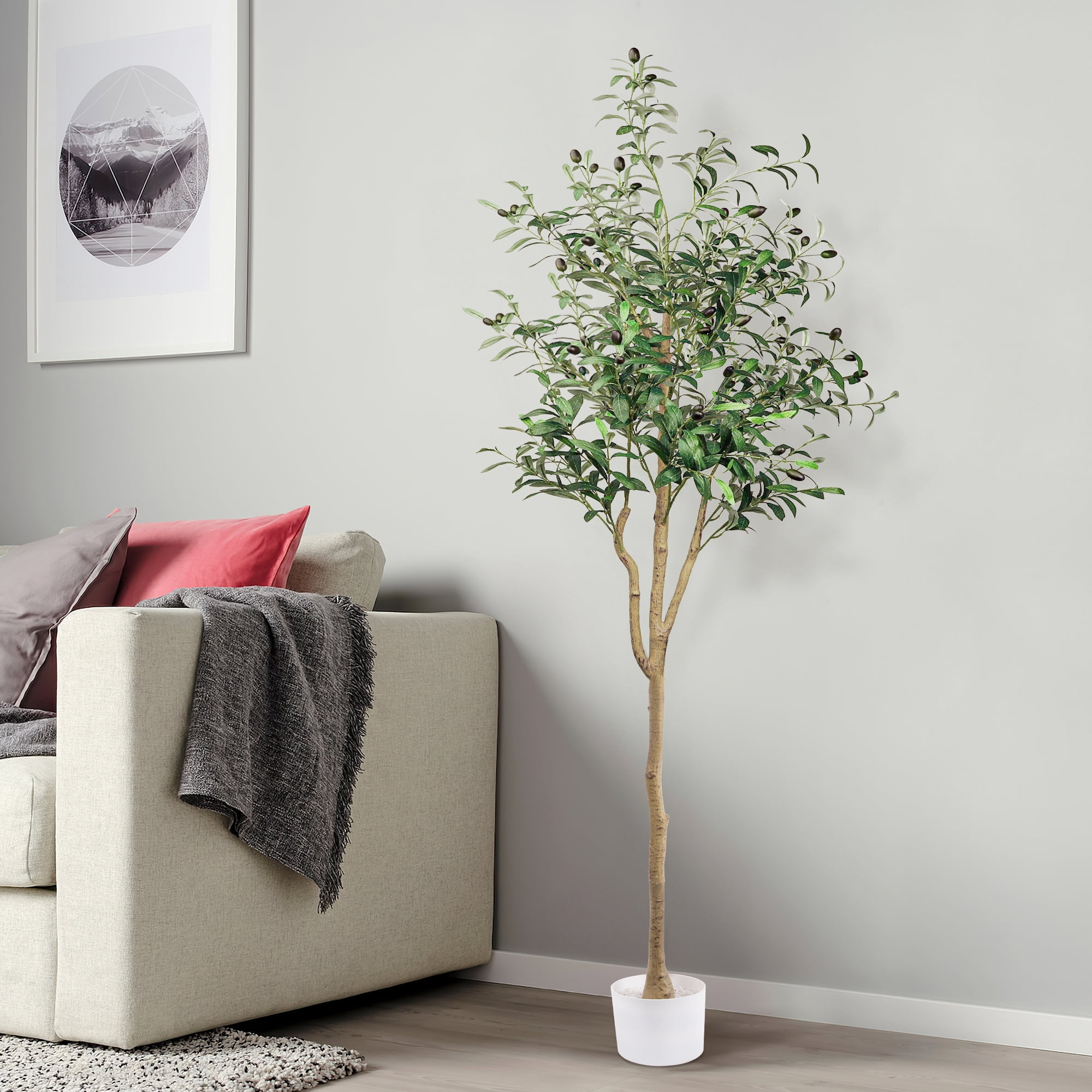 GPED Artificial Olive Trees, 6FT Fake Olive Trees for Indoor, Faux Olive Silk Tree with Lifelike Fruits, Large Olive Plants with White Planter for Home Decor and Housewarming Gift, 1 Pack