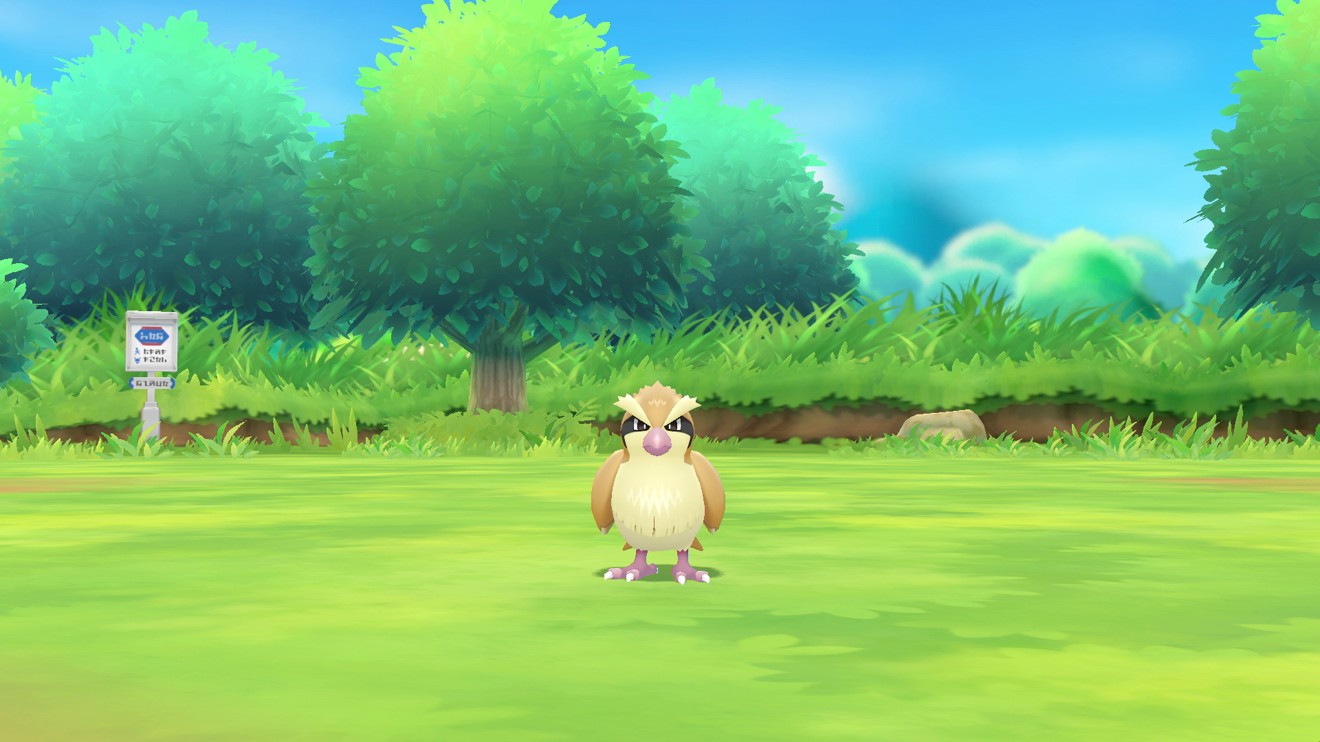 Nintendo Pokemon: Let's Go, Pikachu! photo 5