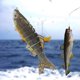 thumbnail image 5 of Cebo artificial de plástico 11 cm 23 g Crankbaits duros Herramienta de aparejos de pesca (estilo B) Hugtrwg Para Estrenar, 5 of 6