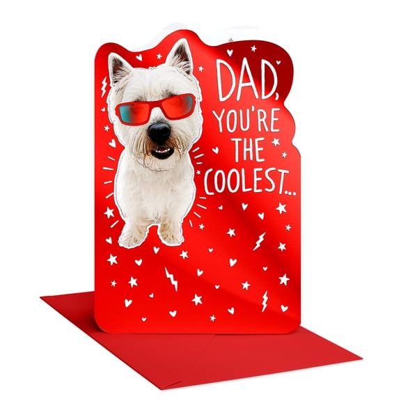 American Greetings Valentine's Day Card for Dad (Cool Dad)