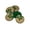 Green/Gold Glitter, variant on Mibo 5 pcs Polyester Holiday Button - 2 Hole - Gold Glitter Pearl with Lasered Bow Pattern - 44L(28mm) - Green/Gold Glitter