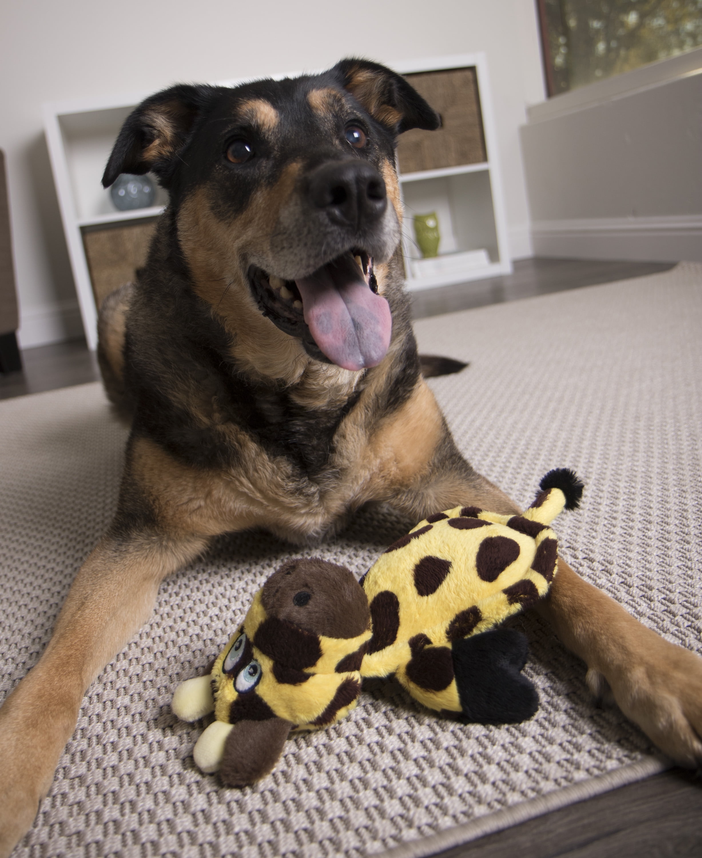 Hear Doggy's Silent Squeaker Flat Giraffe with Chew Guard Dog Toy -  CountryMax