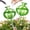 Green, variant on NiHome Plant Watering Globes 2-Pack, Iridescent Glass Cactus Self Watering Globe, Glass Waterer for Potted Plants - 4.7OZ/140 ML Capacity Automatic Mini Irrigation System, Adorable Gardening Gift