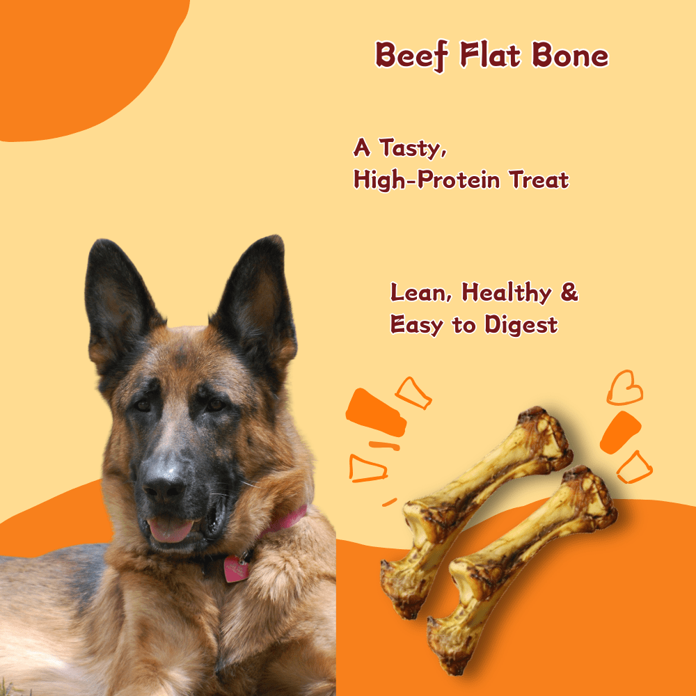 Tender Touch All-Natural Beef Shoulder Blade Bones for Dogs, Slow-Roasted Flat Bone for Medium to Large Breeds, USA Sourced，4 Count