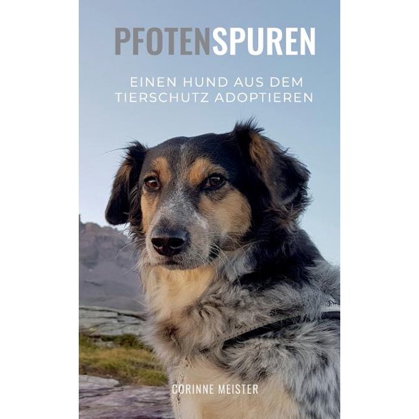Pfotenspuren Einen Hund aus dem Tierschutz adoptieren (Paperback