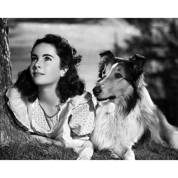 Elizabeth Taylor With Lassie 24x36 Classic Hollywood Poster