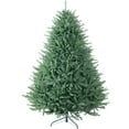 Christmas Tree No Lights 