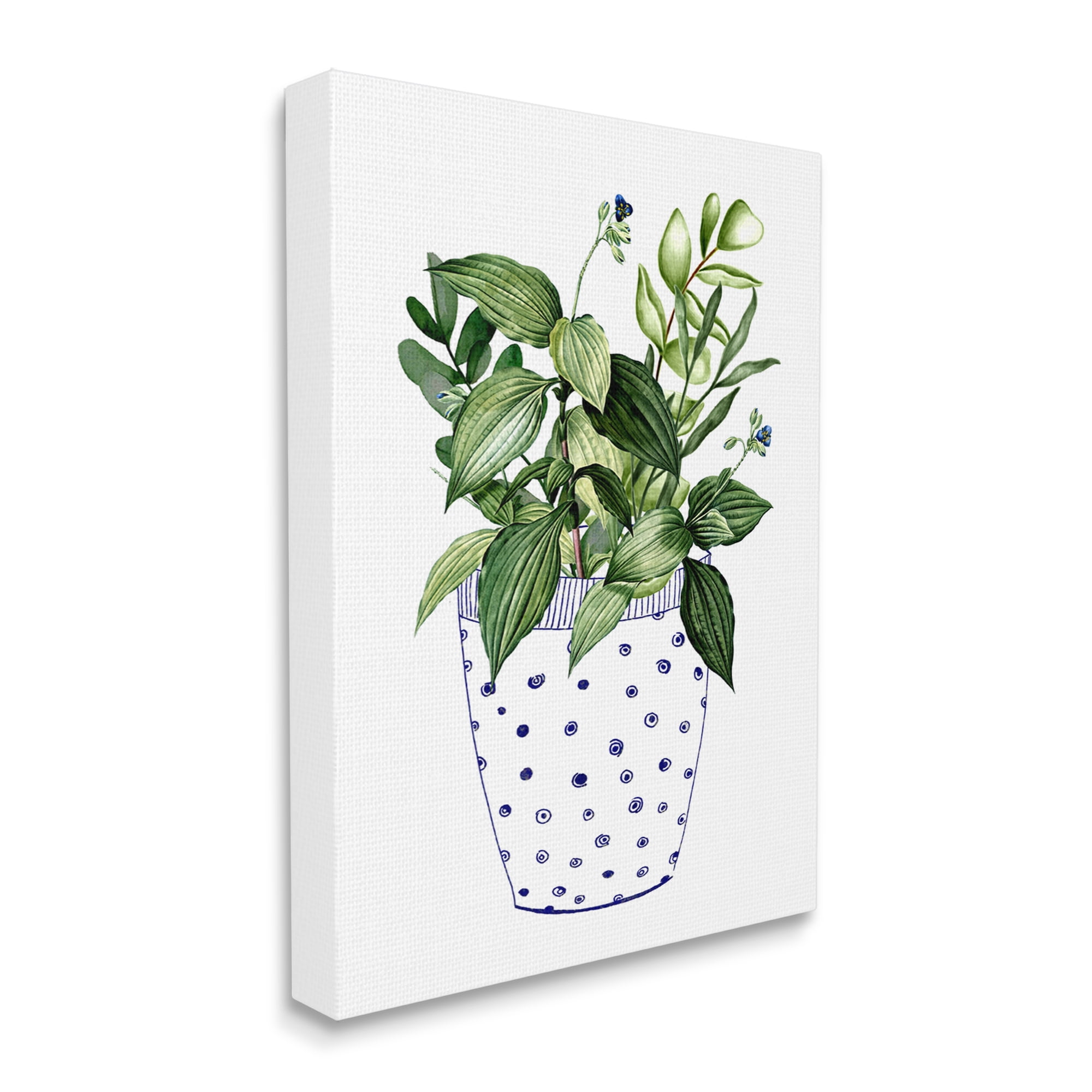 Stupell Industries Modern Potted Plant Botanical & Floral Painting Gallery Wrapped Canvas Print Wall Art, 16 x 20