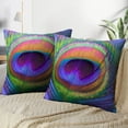 thumbnail image 3 of LALILO Throw Pillow Covers Peacock Feather Multicolored Exotic Cushion Cover 18" x 18", 4239 Pack, 3 of 6