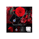 thumbnail image 3 of Flores Rosa Eterna Y Collar Regalo Ideal Para Mujeres, 3 of 3