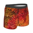 thumbnail image 3 of Daiia Design Name All Over Print Boxer Briefs -Size Name Multicolor Ultra Soft Performance Boxer Briefs, 3 of 9