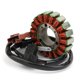 thumbnail image 5 of Generador de estator para Piaggio Scarabeo Fuoco Beverly MP3 400 500 07-15 58108R, 5 of 12