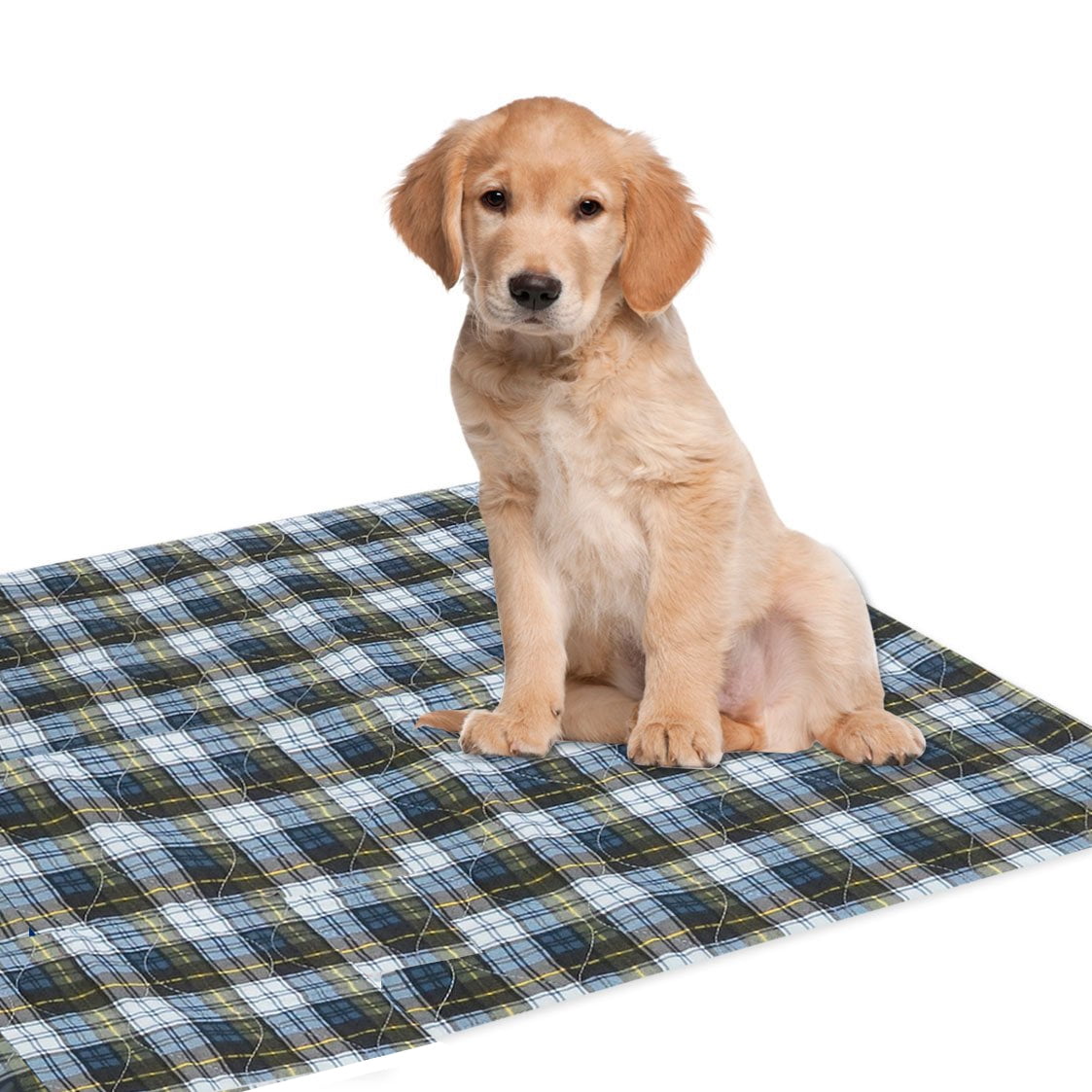 Dry Defender Washable Waterproof Puppy Pad 23" x 35"