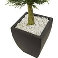 thumbnail image 2 of Nearly Natural 4.5' Cypress Artificial Topiary with Black Planter UV Resistant, 2 of 7