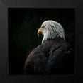thumbnail image 2 of Brockamp, Rick 12x12 Black Modern Framed Museum Art Print Titled - Eagle ... Compassion, 2 of 5
