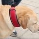 thumbnail image 3 of Durable Dog Collar Breathable Anti-choke Pet Collar For Small Medium Large Dogs Necklace Reflective Labrador Collar Dog Supplies ShopWise Round, 3 of 14