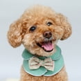 thumbnail image 4 of SPRING PARK Pet Dog Cat Bowknot Princess Style Cape Outfit Costume Party Fun, 4 of 7