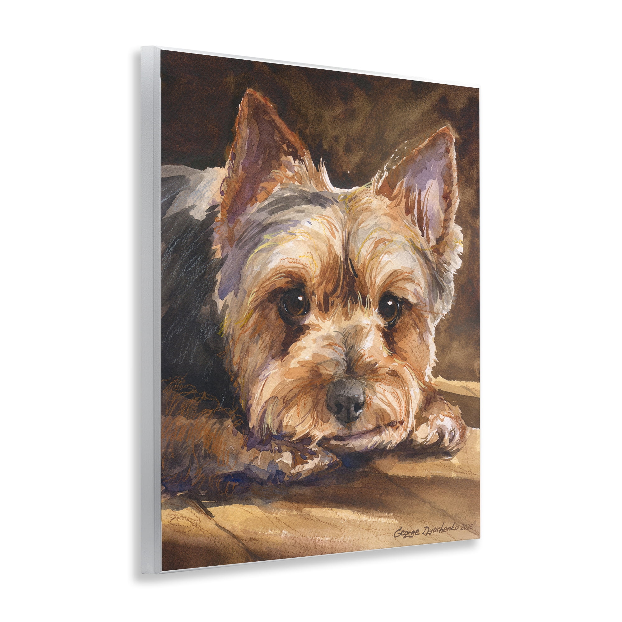 Stupell Industries Yorkshire Terrier Portrait Wall Plaque Art, design by George Dyachenko