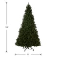 thumbnail image 5 of Árbol de Navidad, National Tree Company, North Valley Spruce, 10 pies, 5 of 5