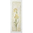 thumbnail image 2 of Bonet, Julia 14x32 White Modern Wood Framed Museum Art Print Titled - Garden delight-iris, 2 of 4