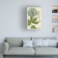 thumbnail image 2 of Trademark Fine Art Weinmann Queen Annes Lace Green Canvas Wall Art - 16x24, 2 of 5