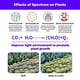 thumbnail image 1 of Full Spectrum Plants Grow Light Auto On/Off LED Lamp Sunlight Quantum Grow Lamp 1 Skewers, 1 of 5