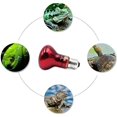 thumbnail image 2 of 2 bombillas térmicas para reptiles, lámpara térmica infrarroja duradera, bombilla térmica roja para mascotas, para reptiles, anfibios, lagartos, tortugas, 220-230 V, 2 of 4