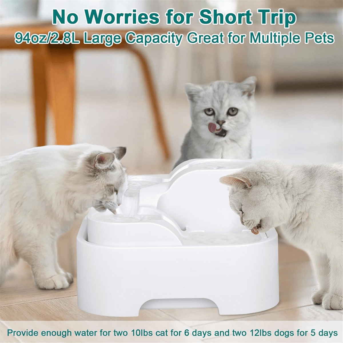 Cat Water Fountain,Pet Drinking Fountain for Multiple Pet,Ultra Silent Bowl ,for Small Medium Kitty